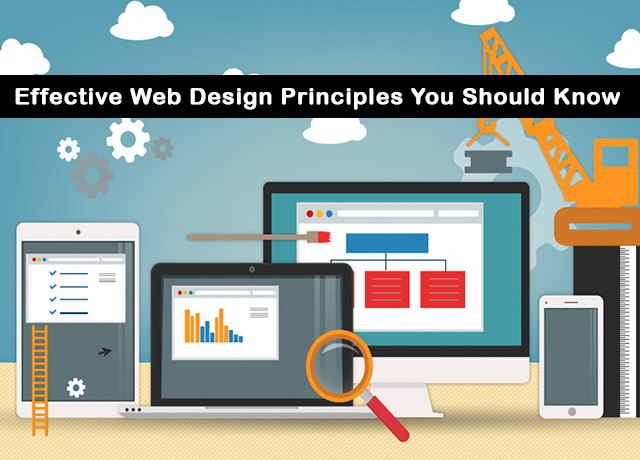 19 Effective Web Design Principles You Should Know